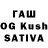 Конопля White Widow T Mastodon